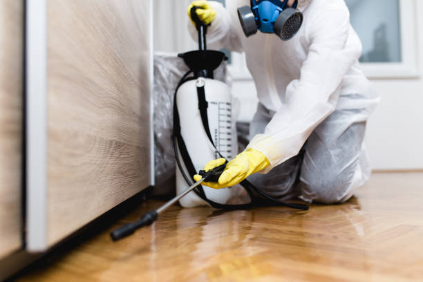 Best Residential Pest Control  in Midway, AR