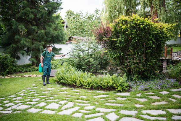 Best Wasp Removal Services  in Midway, AR