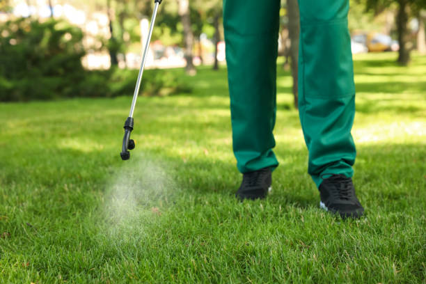 Best Pest Removal Services  in Midway, AR