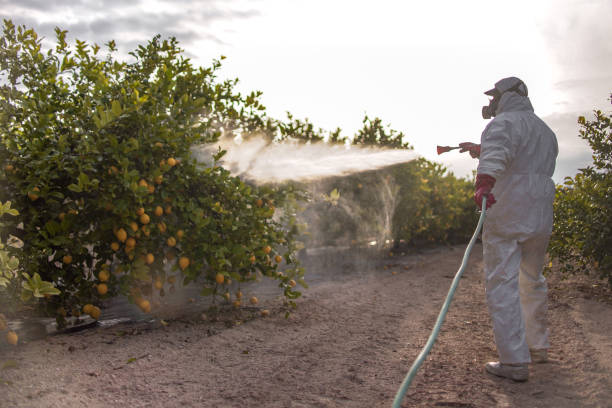 Best Pest Control Near Me  in Midway, AR