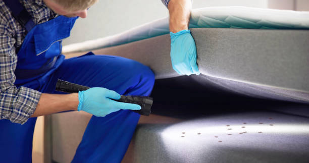 Best Ant Control Services  in Midway, AR
