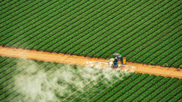 Trusted Midway, AR Pest Control Experts