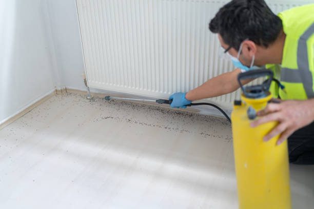 Best Emergency Pest Control  in Midway, AR