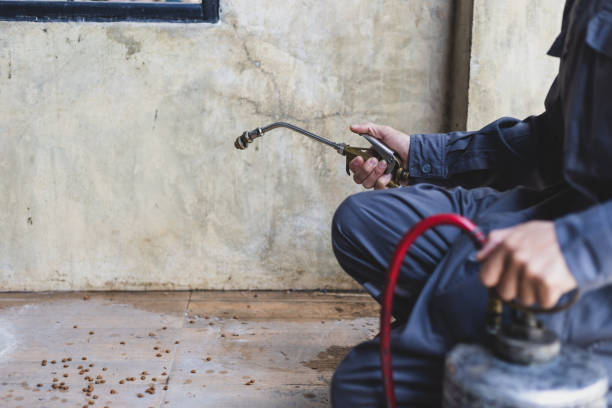 Best Pest Control Near Me  in Midway, AR