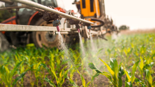 Best Commercial Pest Control Services  in Midway, AR