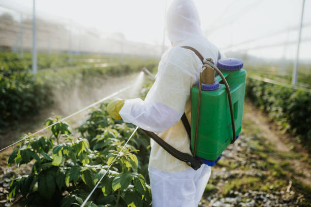 Best Wildlife Control Services  in Midway, AR